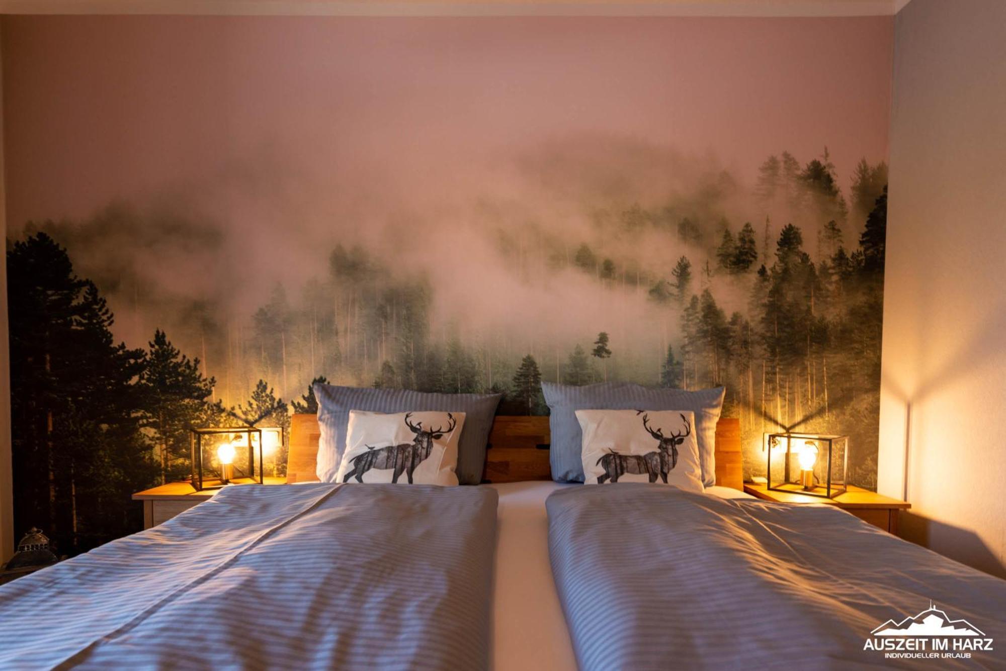Auszeit-Im-Harz Haus 5 Wohnung 22 Stiege Buitenkant foto